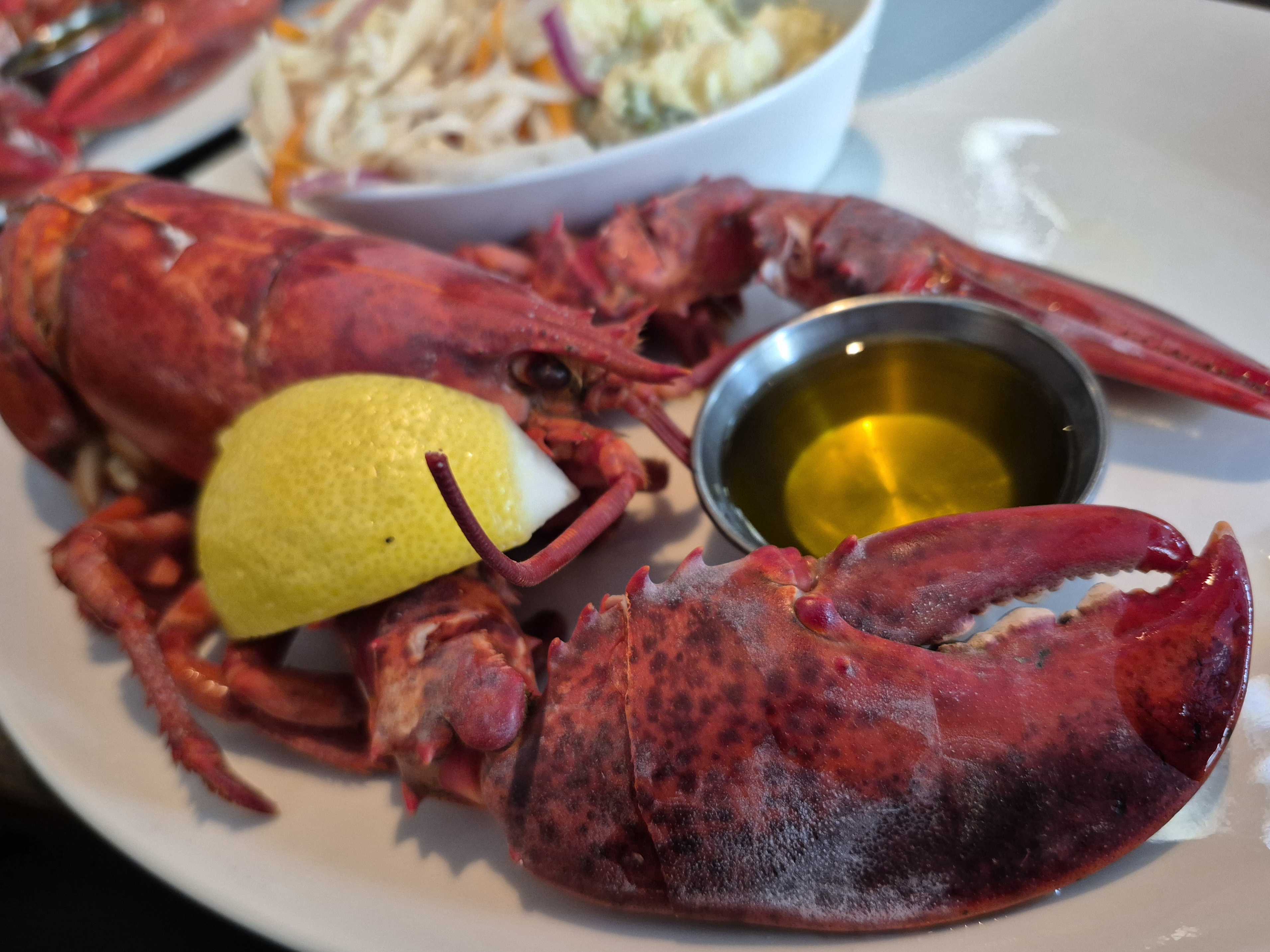 img_lobster